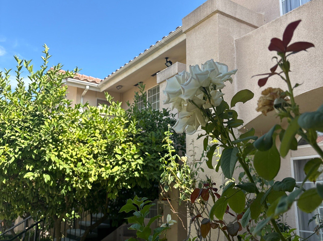 费雷斯诺花园旅馆套房酒店主图