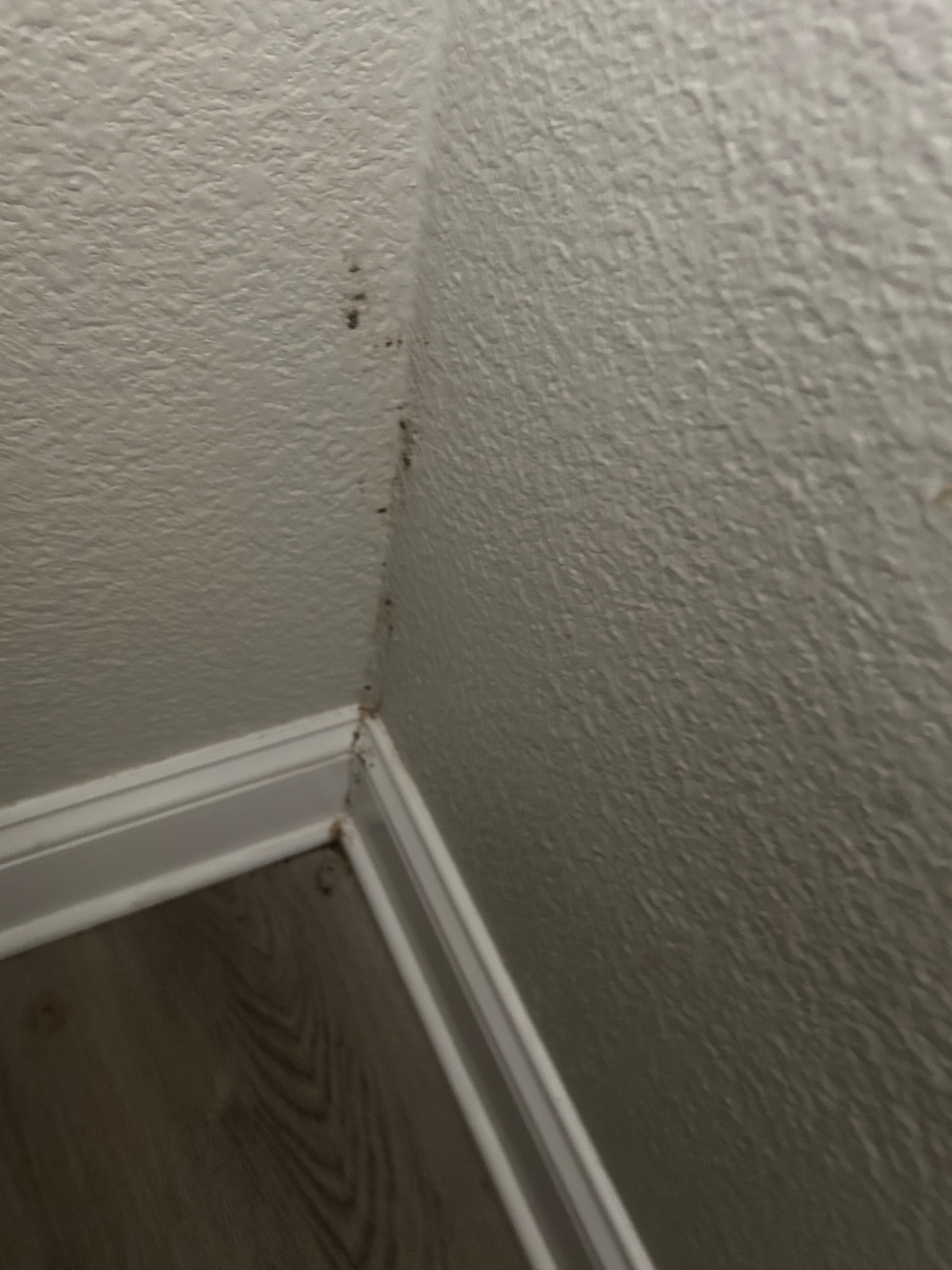 Super 8 by Wyndham Ruston-客卧