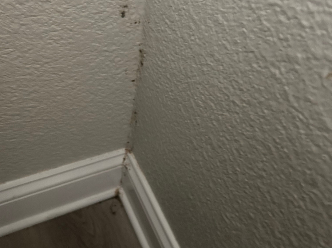 Super 8 by Wyndham Ruston主图