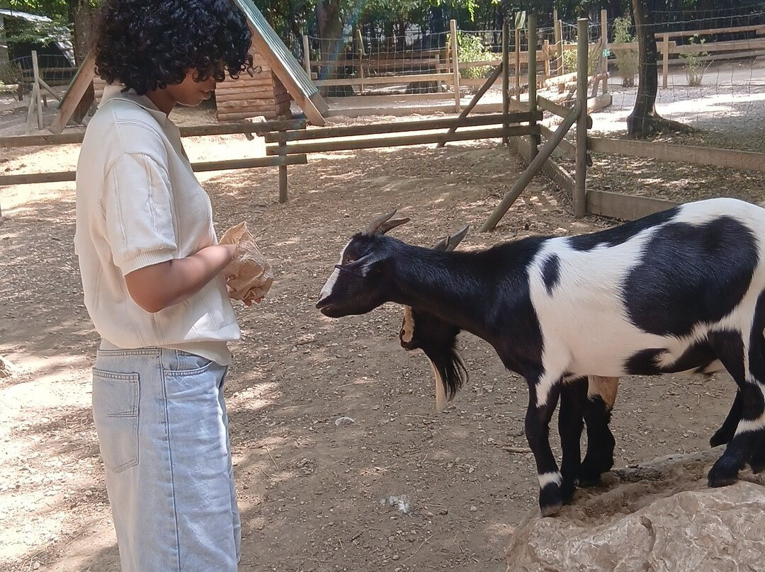 Ferme-Rieumes必去景点