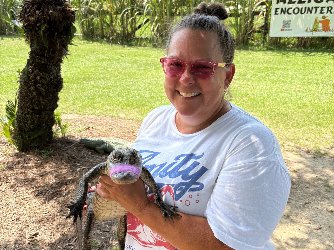 Alligator Alley-Summerdale必去景点