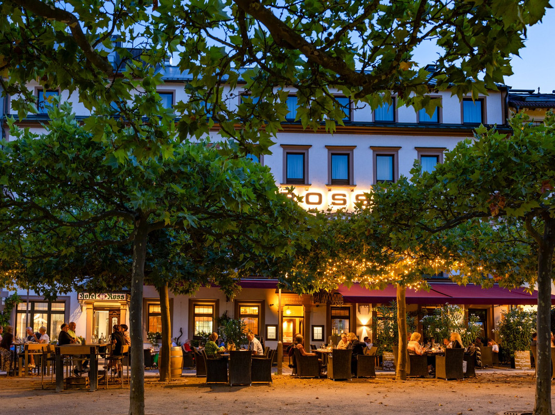 Hotel Am Alten Postplatz "Ross"主图