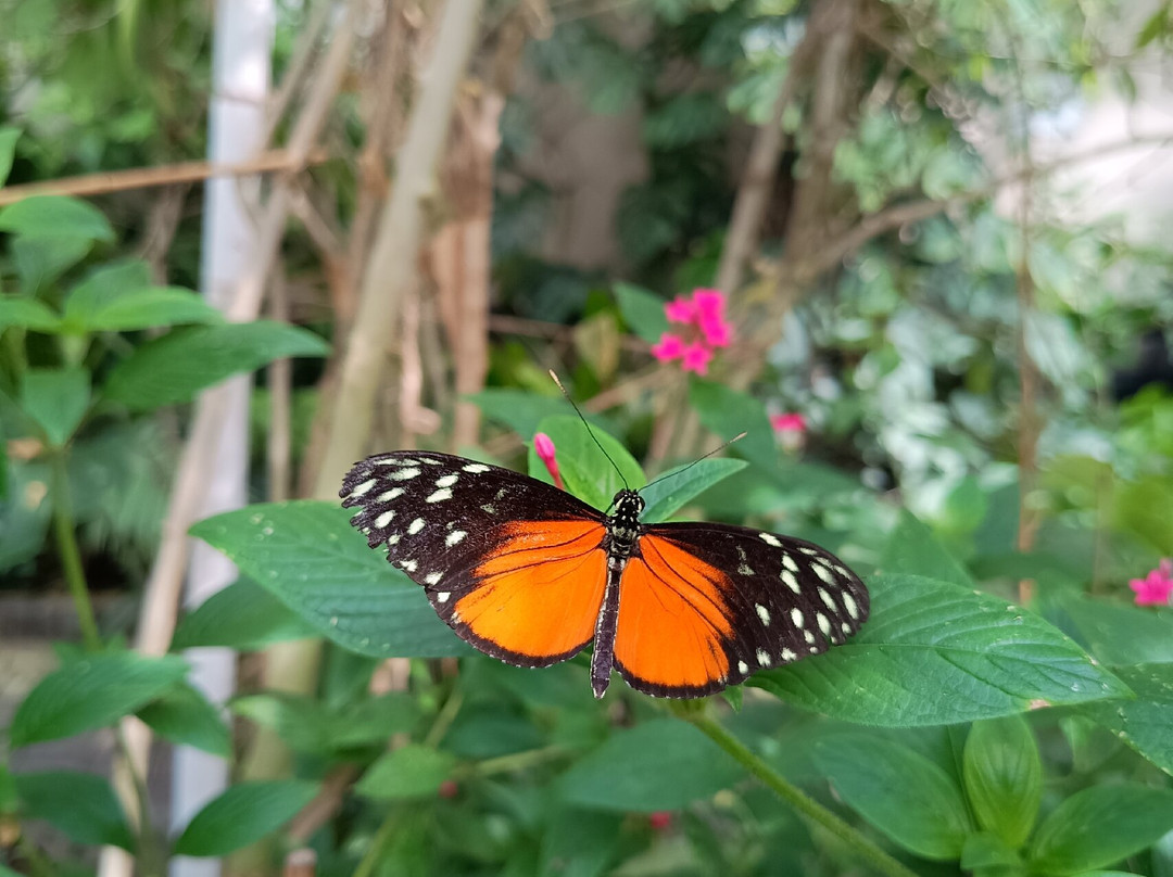 Portsmouth Natural History Museum-普兹茅斯必去景点
