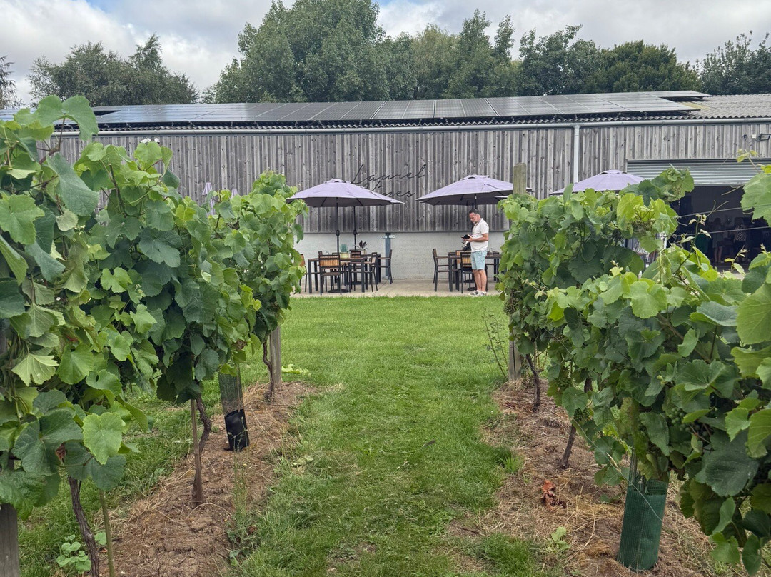 Laurel Vines Vineyard And Winery-Driffield必去景点