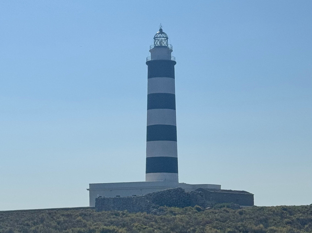 BlackLizard Boat Tours-Biniancolla必去景点