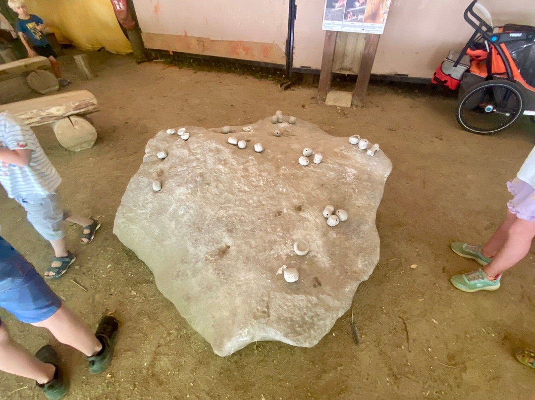 Préhisto'site du CAIRN-Saint-Hilaire-la-Foret必去景点