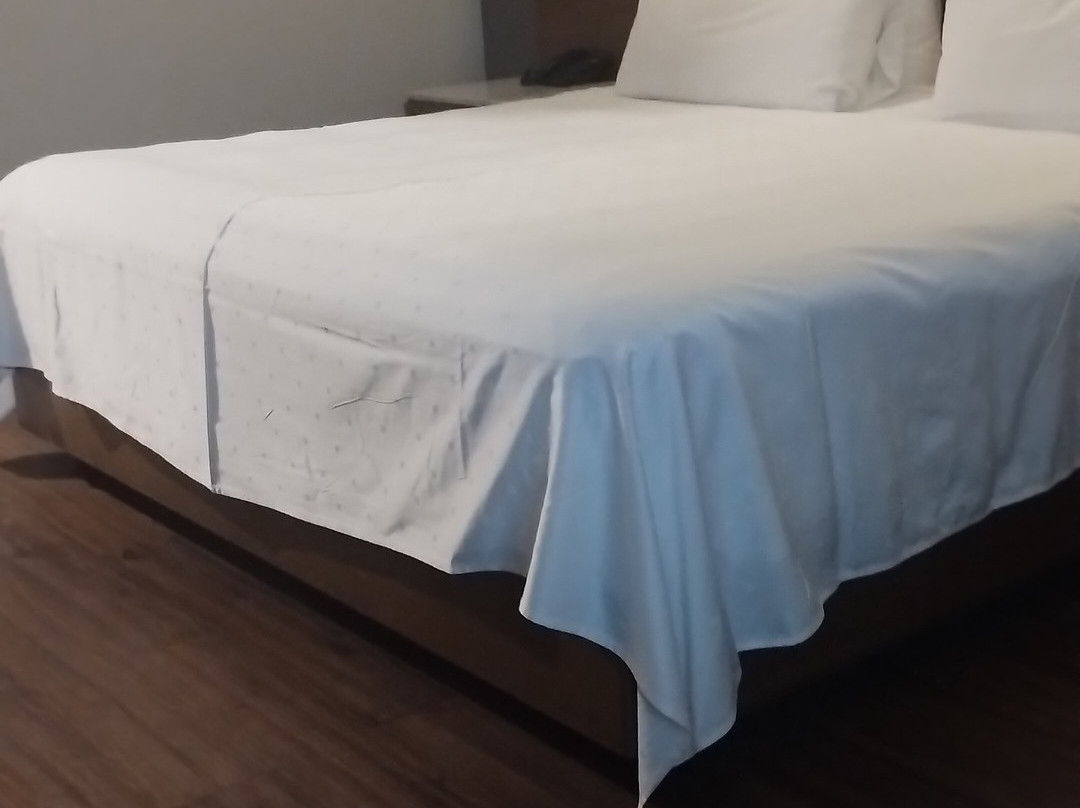 Hotel Victoria Ejecutivo主图