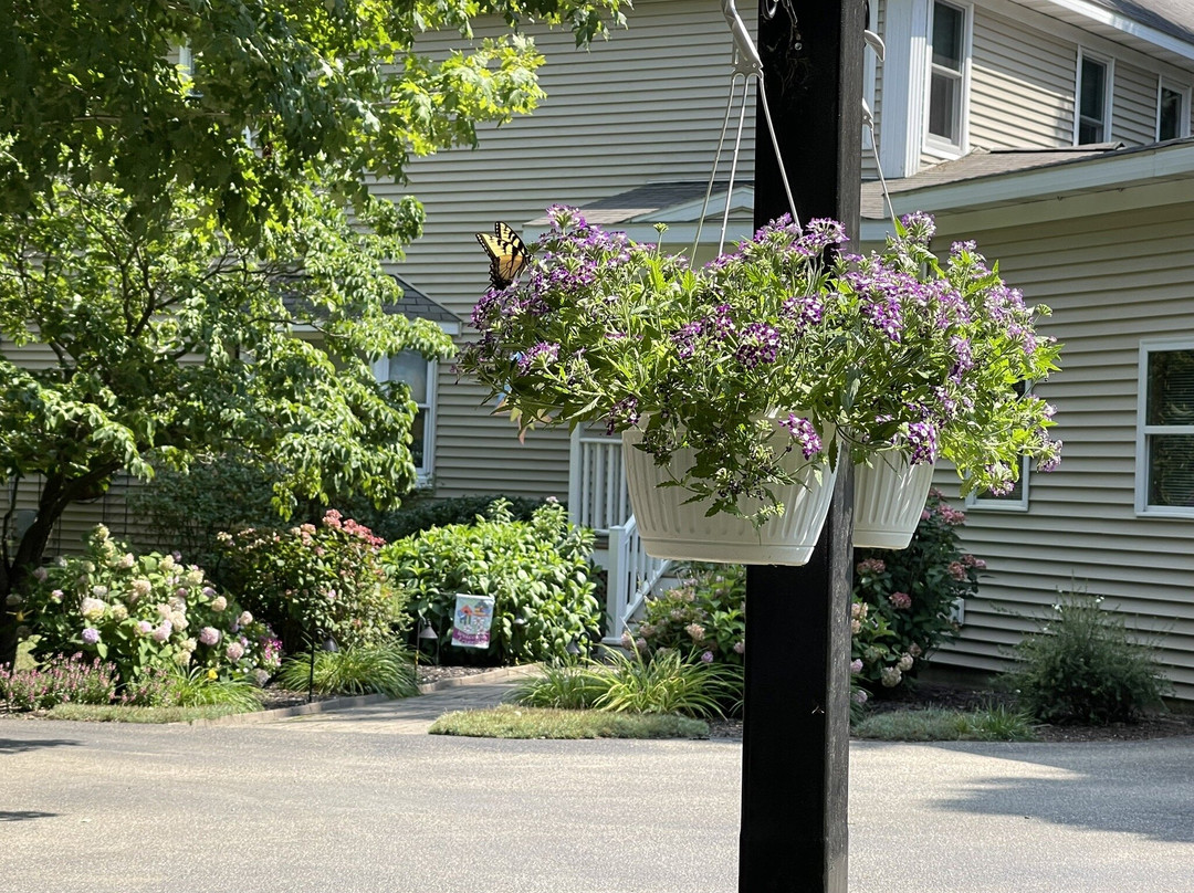 Black River Inn B&B主图