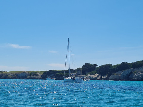 Perfect Day Sailing Tours-圣特雷莎加卢拉必去景点