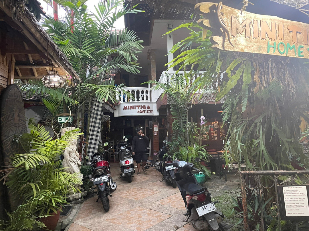 Mini Tiga Homestay主图