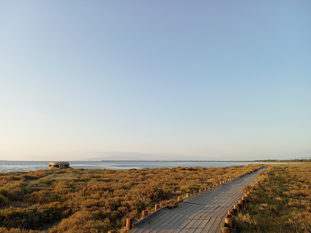 Laguna di Marceddi-阿尔布斯必去景点