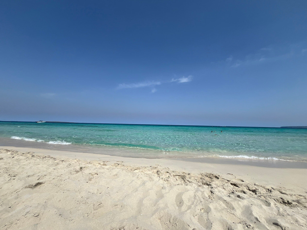 莱万特海滩-福门特拉岛必去景点