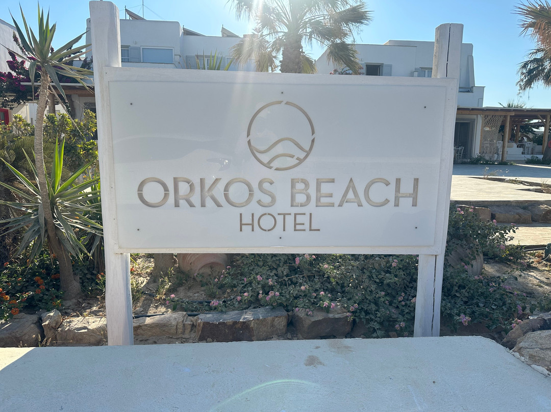 Hotel Orkos Beach主图