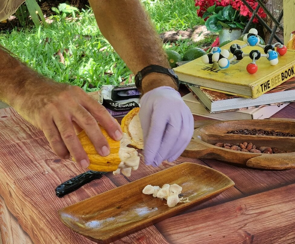 21 Degrees Estate Cacao Farm-卡内奥赫必去景点