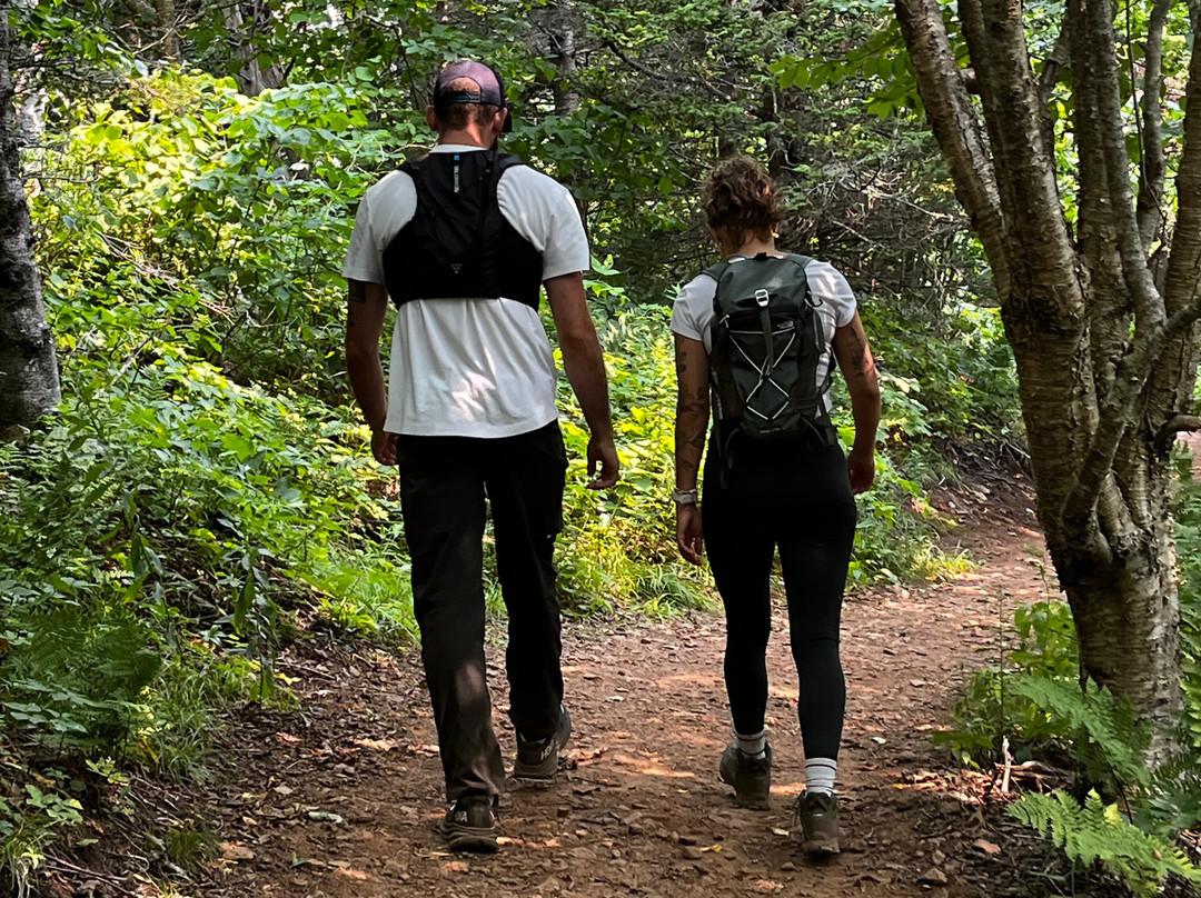 Farmhouse Inn Bed and Breakfast主图