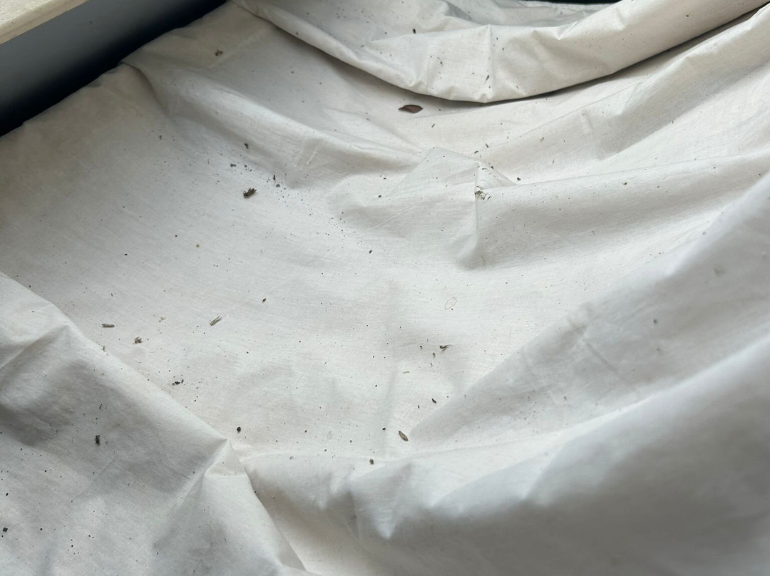 Centre Equestre Du Passe-Temps主图