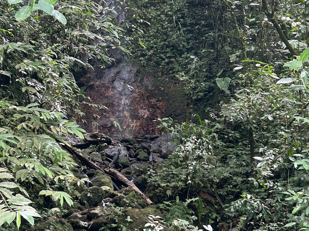 Steel Horse Colombia-Filandia必去景点