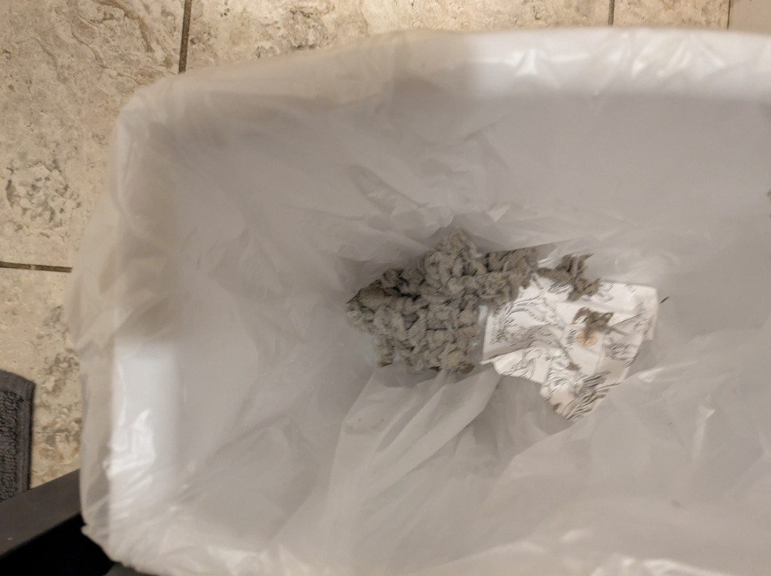 Starlight Lodge Cape Cod主图