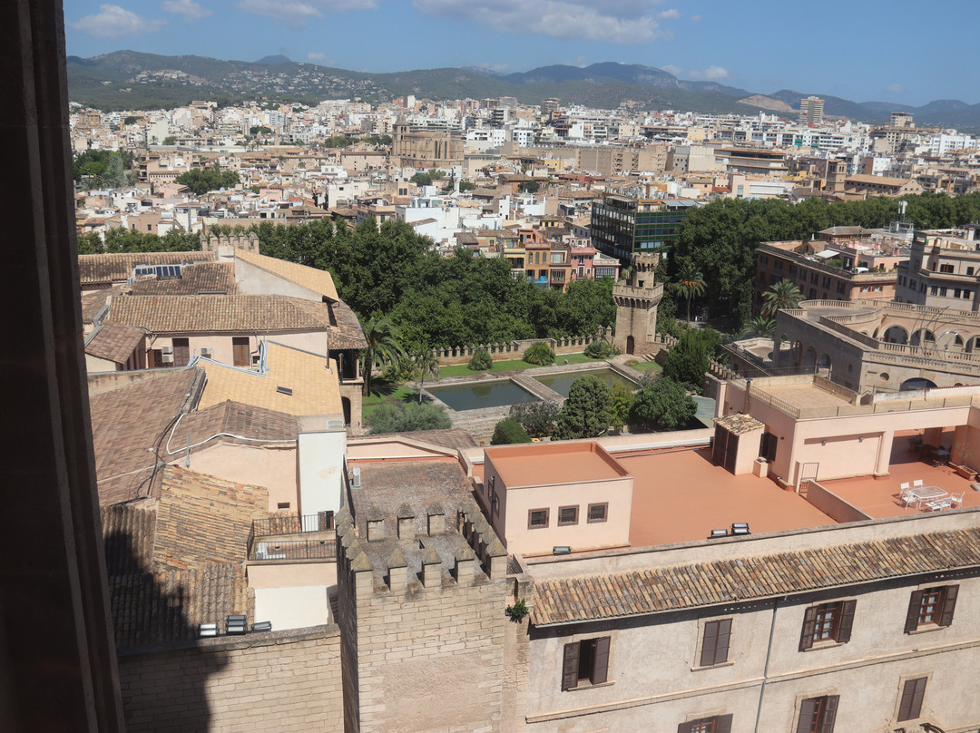 Terrazas de la Catedral de Palma-马洛卡帕尔马必去景点