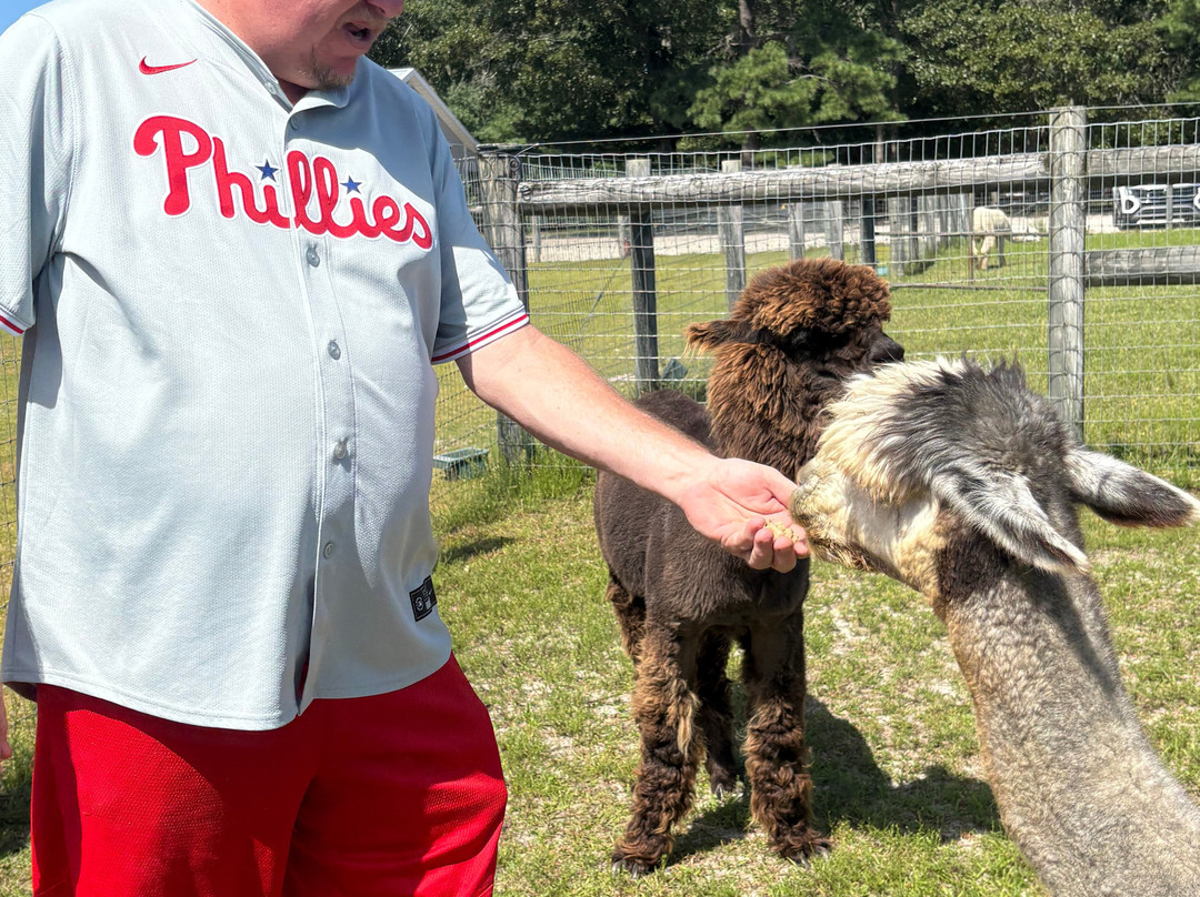 Silver Fox Farm Alpacas-Egg Harbor City必去景点