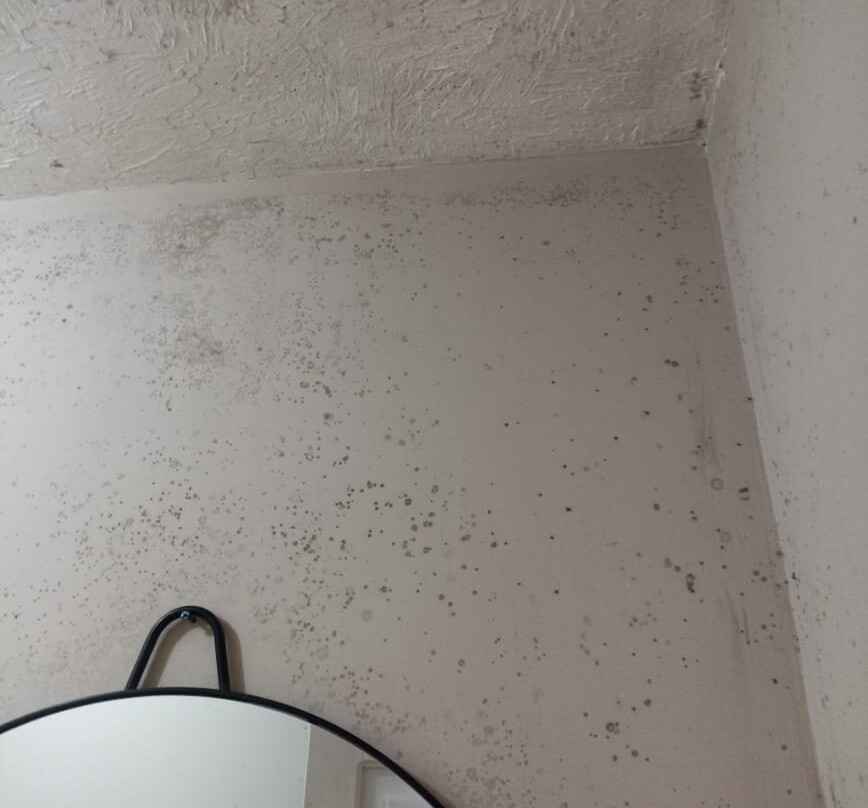 Vista Coiba Villas & Restaurant主图