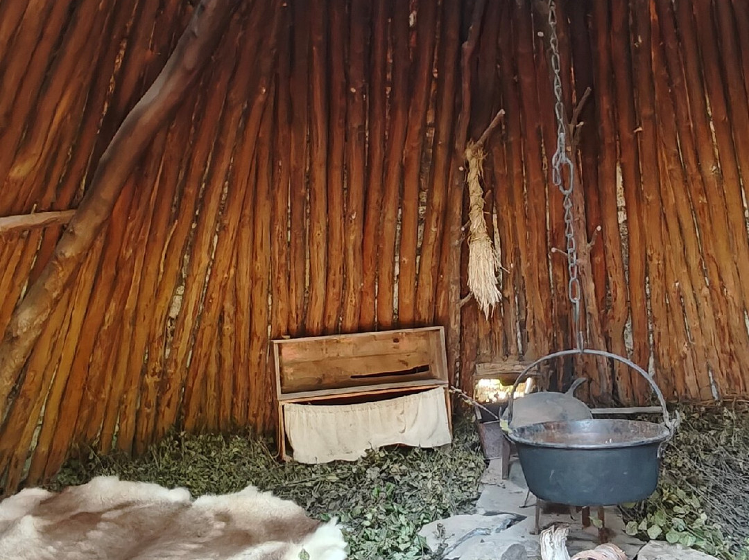 Skansen - Akvariet-斯德哥尔摩必去景点