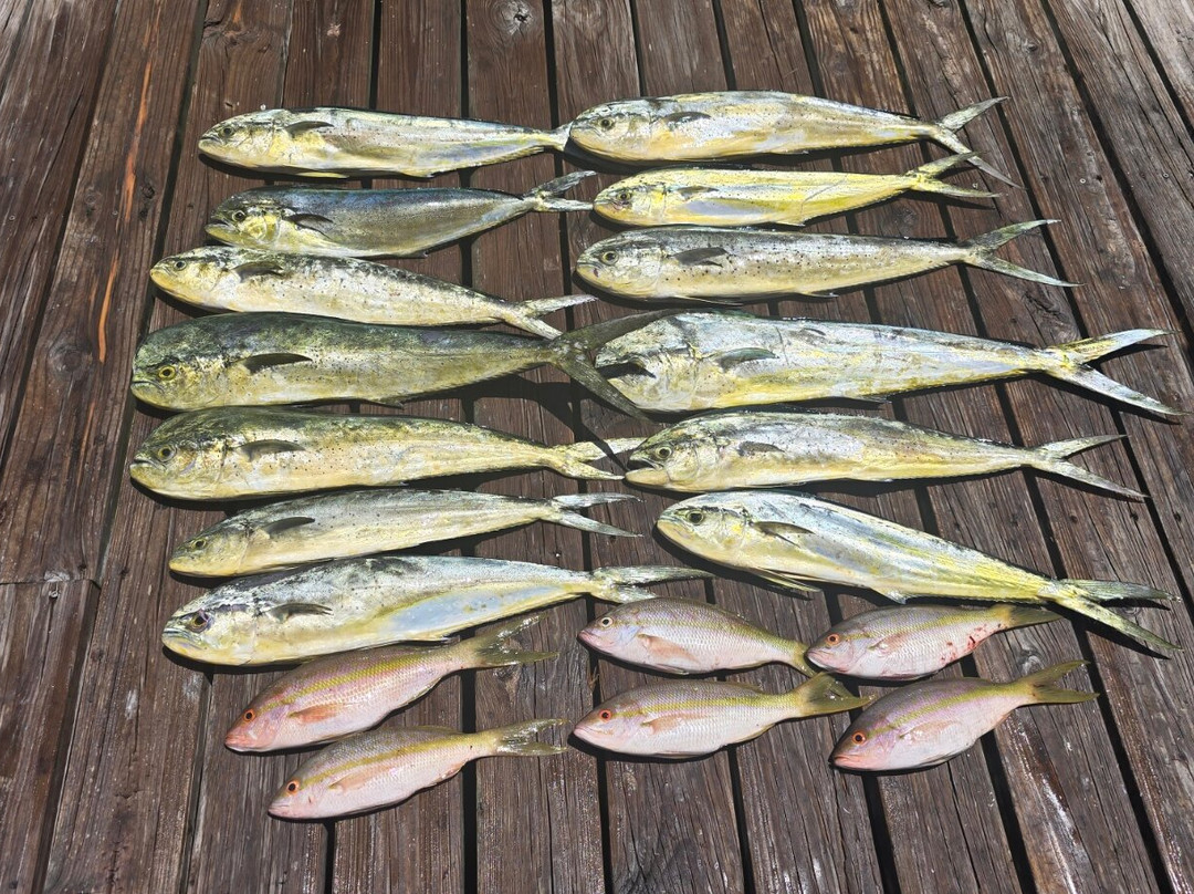 Early Bird Fishing Charters-伊斯拉摩拉达必去景点