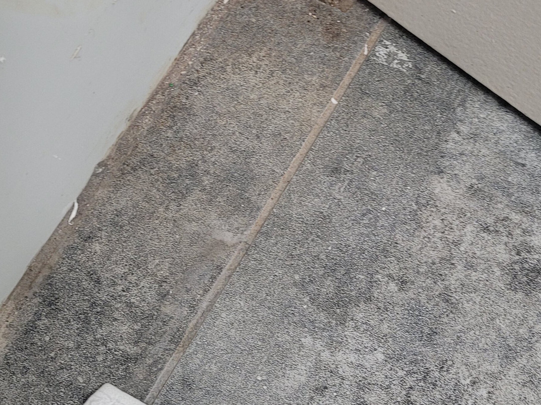 Best Western Plus University Inn主图