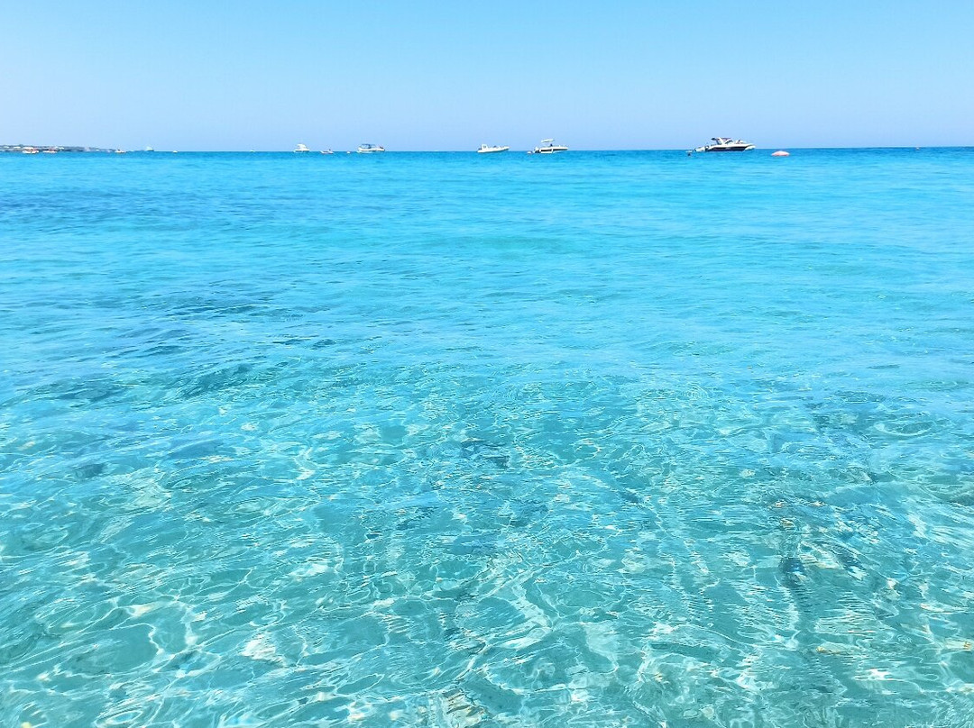 Oasis Park Hotel主图