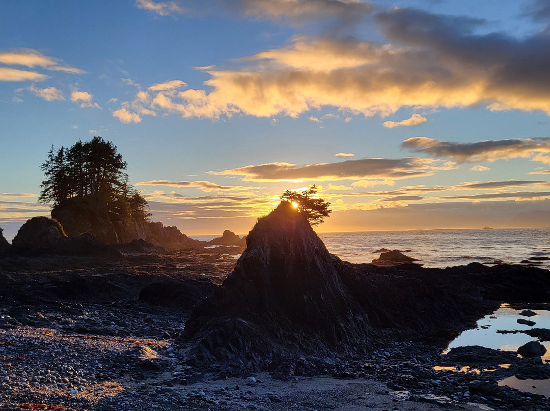 West Coast Expeditions-温哥华岛必去景点
