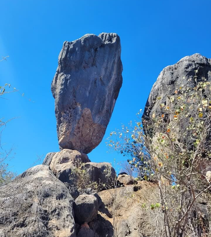 奎伊斯市雷吉斯公园酒店主图