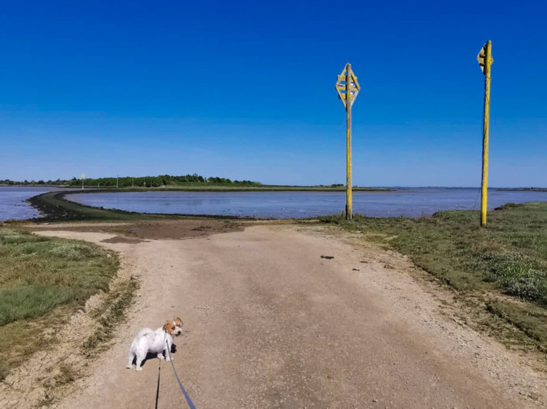 Northey Island-Maldon必去景点