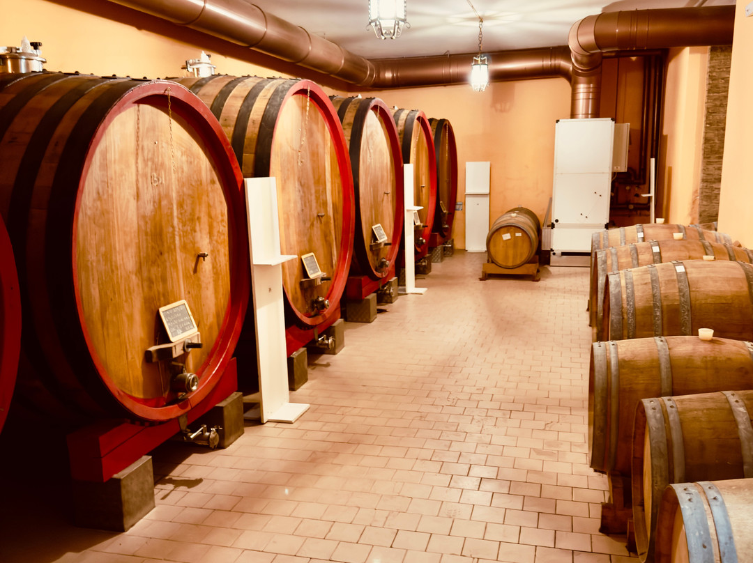 Cantina Frentana-Rocca San Giovanni必去景点