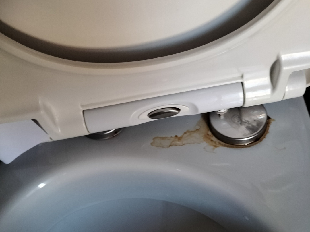 亚历山德拉酒店主图