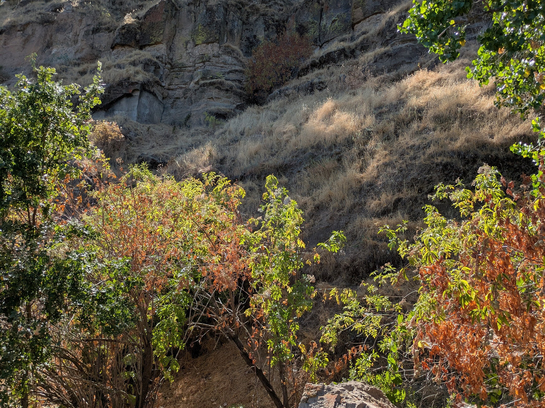 Folsom Lake State Recreation Area-佛森必去景点