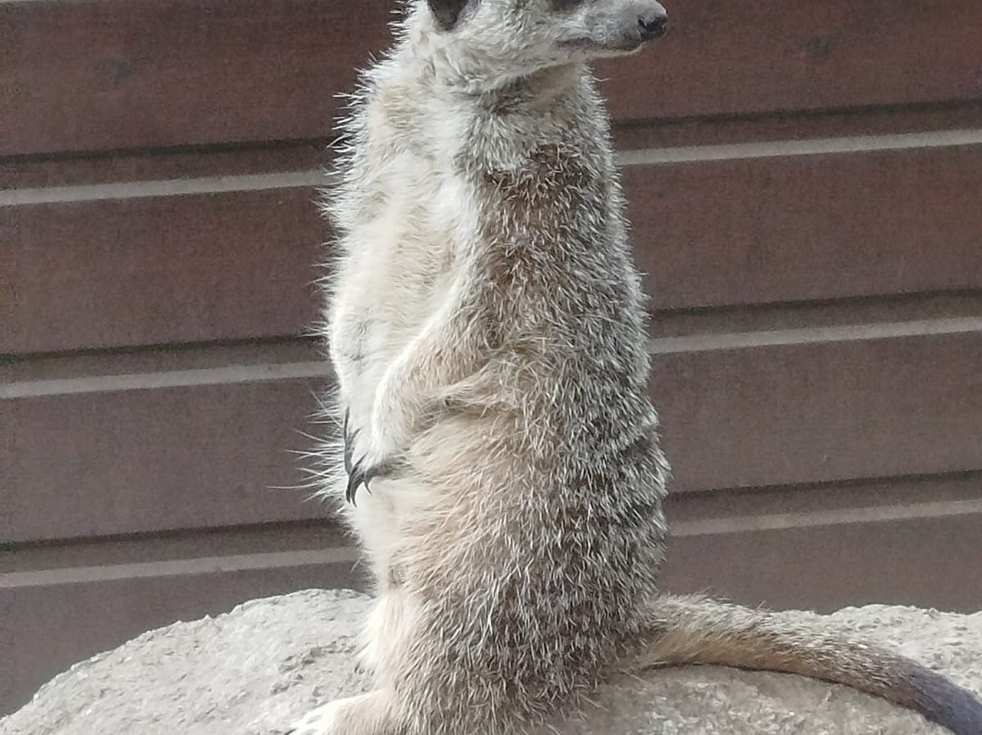 la Vall de les Tortugues-Sorede必去景点