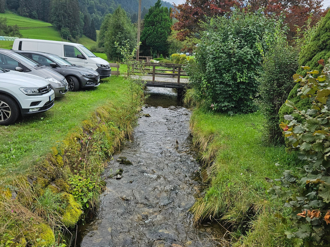 Wohlfuhlhotel Frohsinn主图