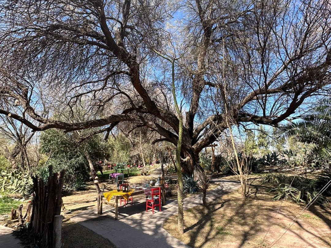 Bodega Perro Guardian-Tinogasta必去景点