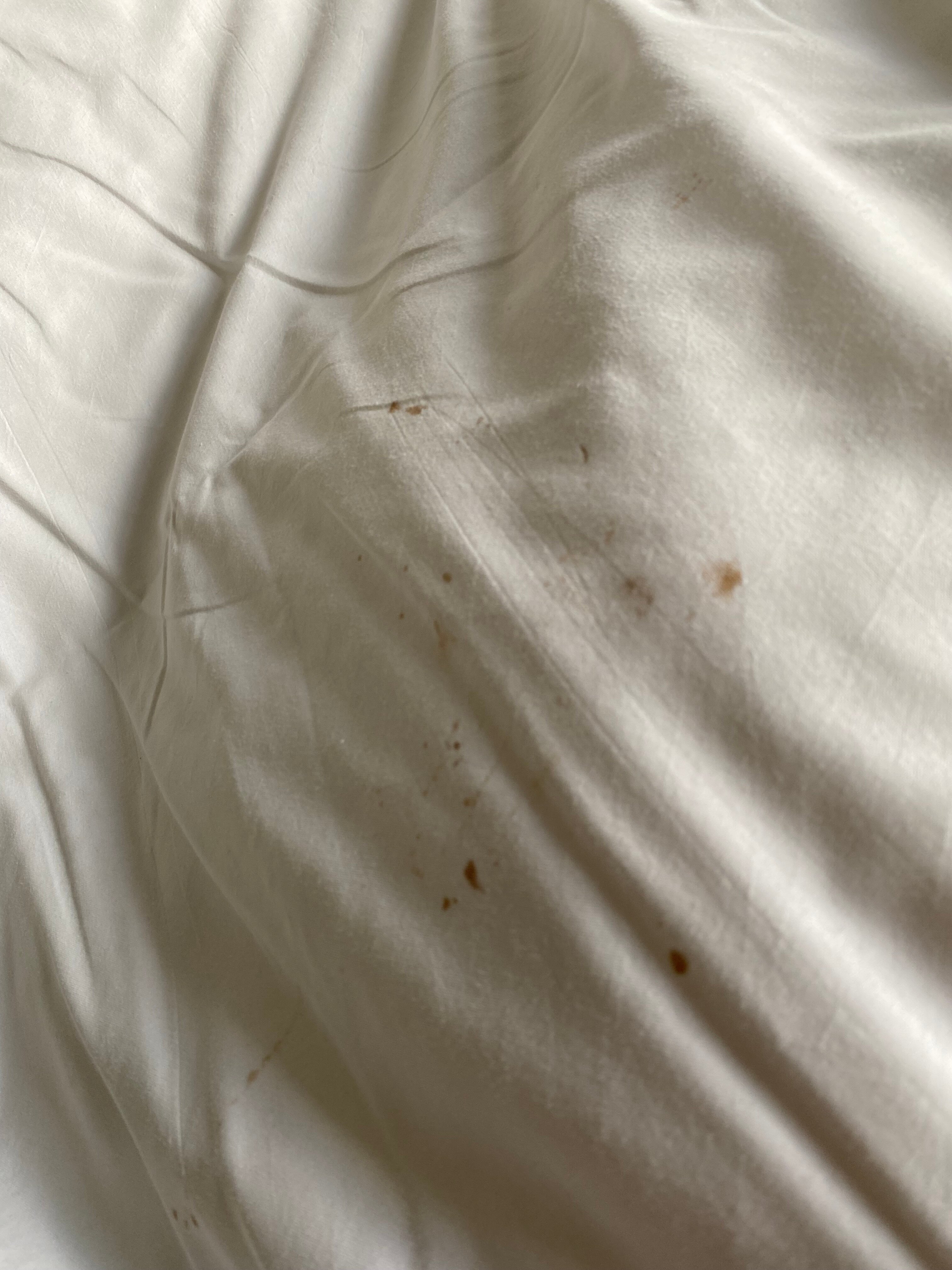 The White Hart Inn-官方