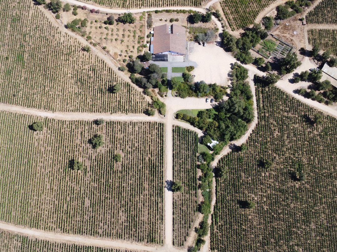 Viña Hacienda Araucano- François Lurton-Lolol必去景点