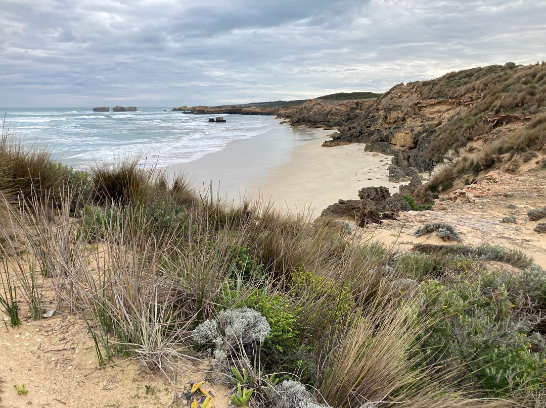 Stillwater Paddleboards-海滩港必去景点