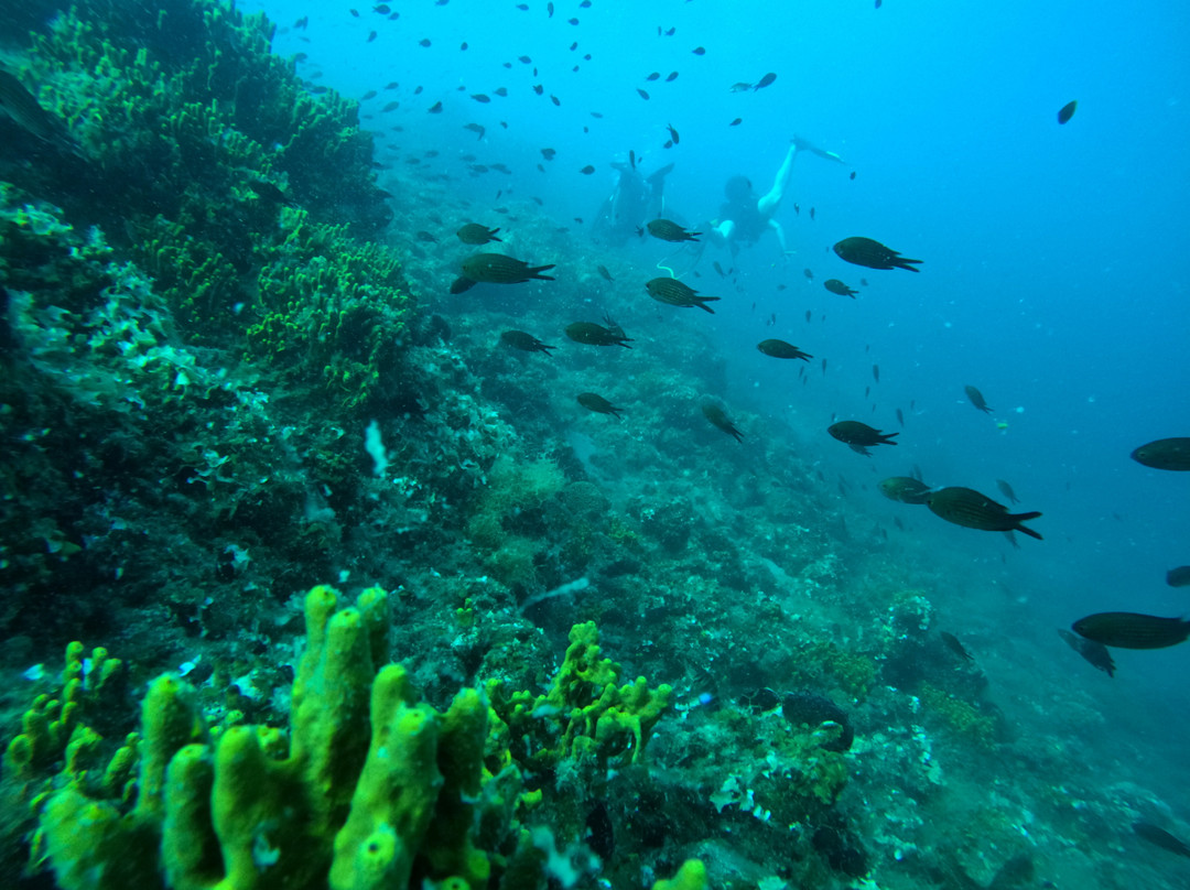 Argonauta Diving Resort-Rovies必去景点
