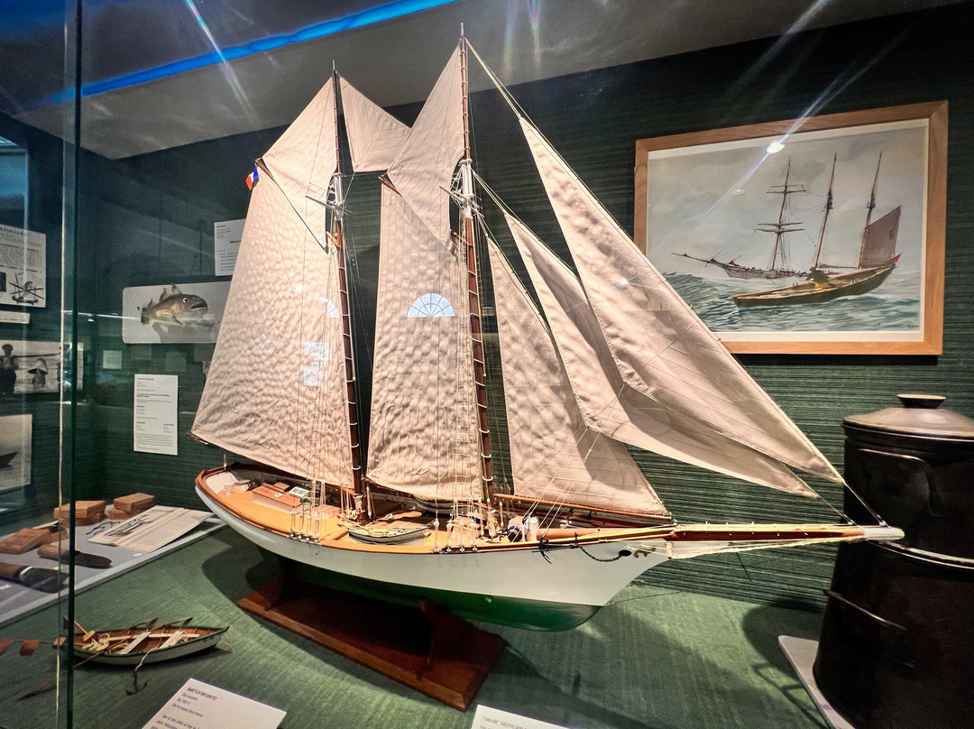 Musee de la Peche-孔卡尔诺必去景点