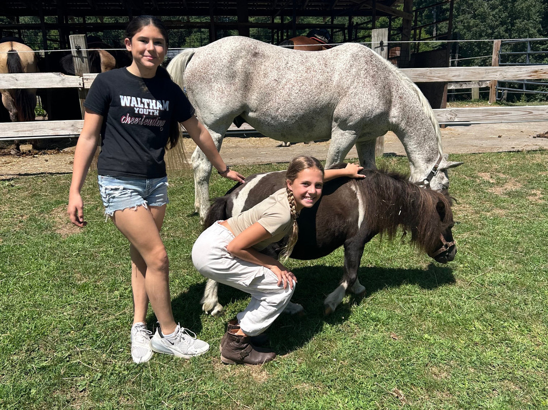 Bobby's Ranch-韦斯特福德必去景点