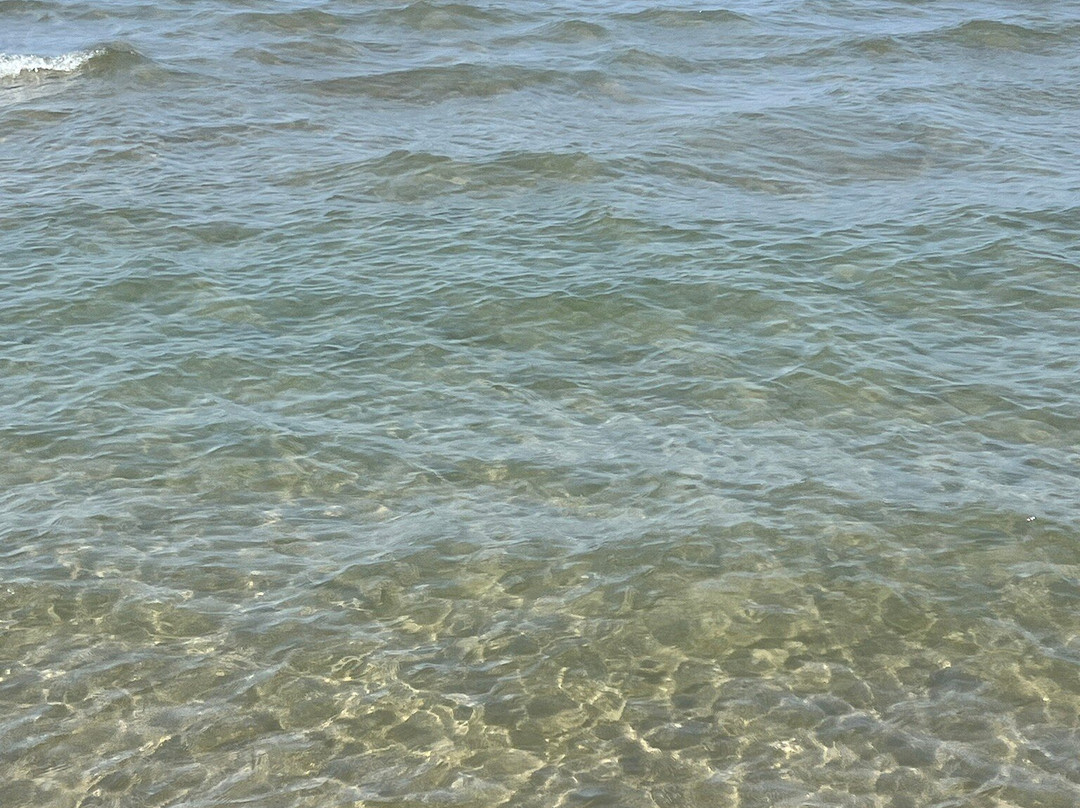 Campeggio Baia Verde-Punta Ala必去景点