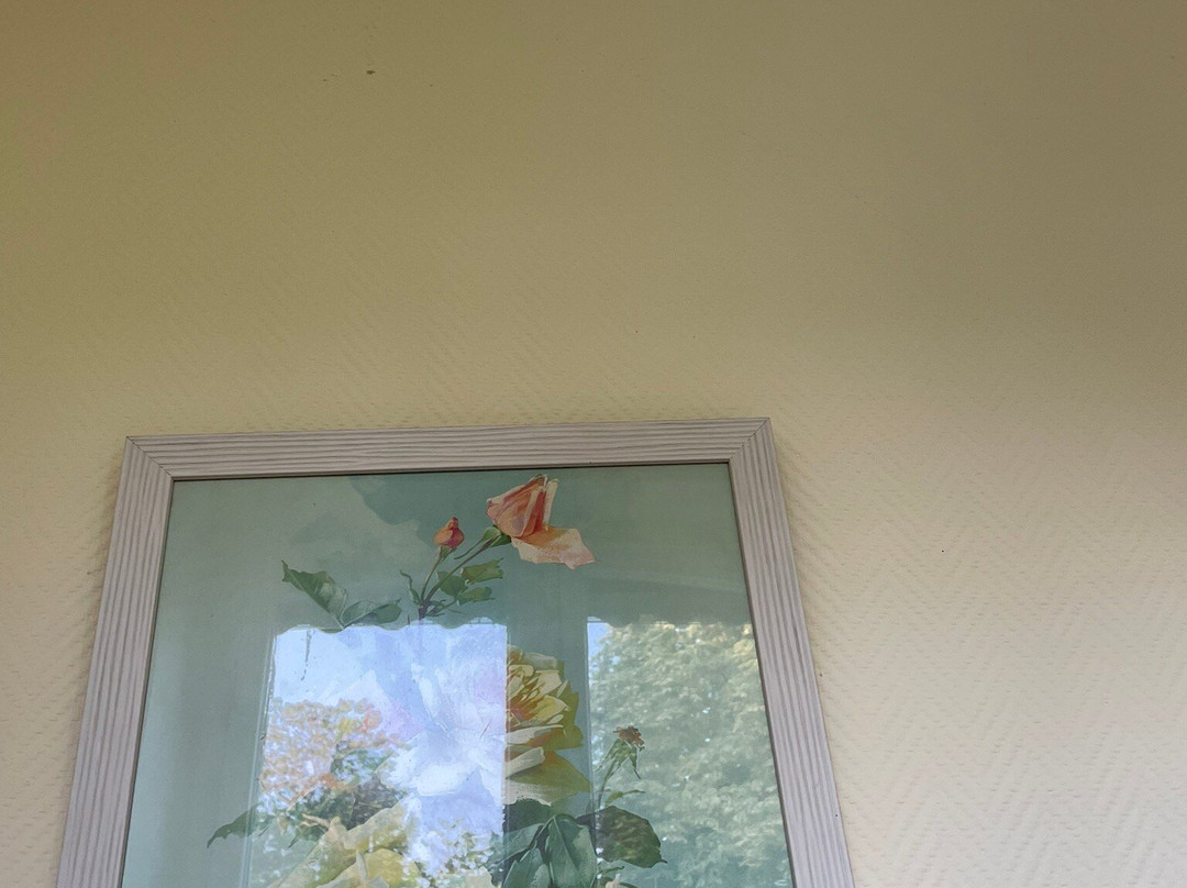 Il etait une fois... un jardin主图