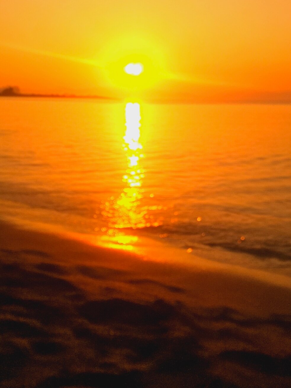 Pallas Pension-官方