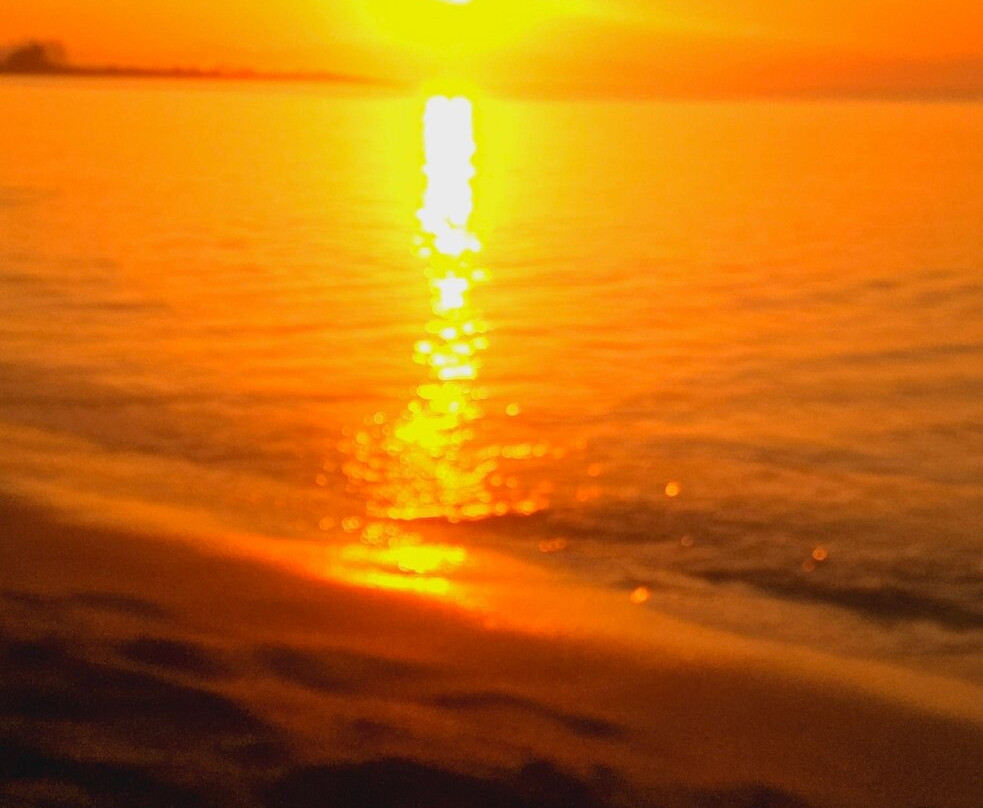 Pallas Pension主图