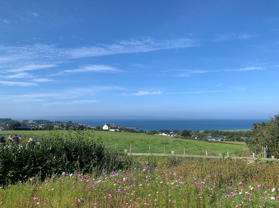 The Salthouse Hotel主图