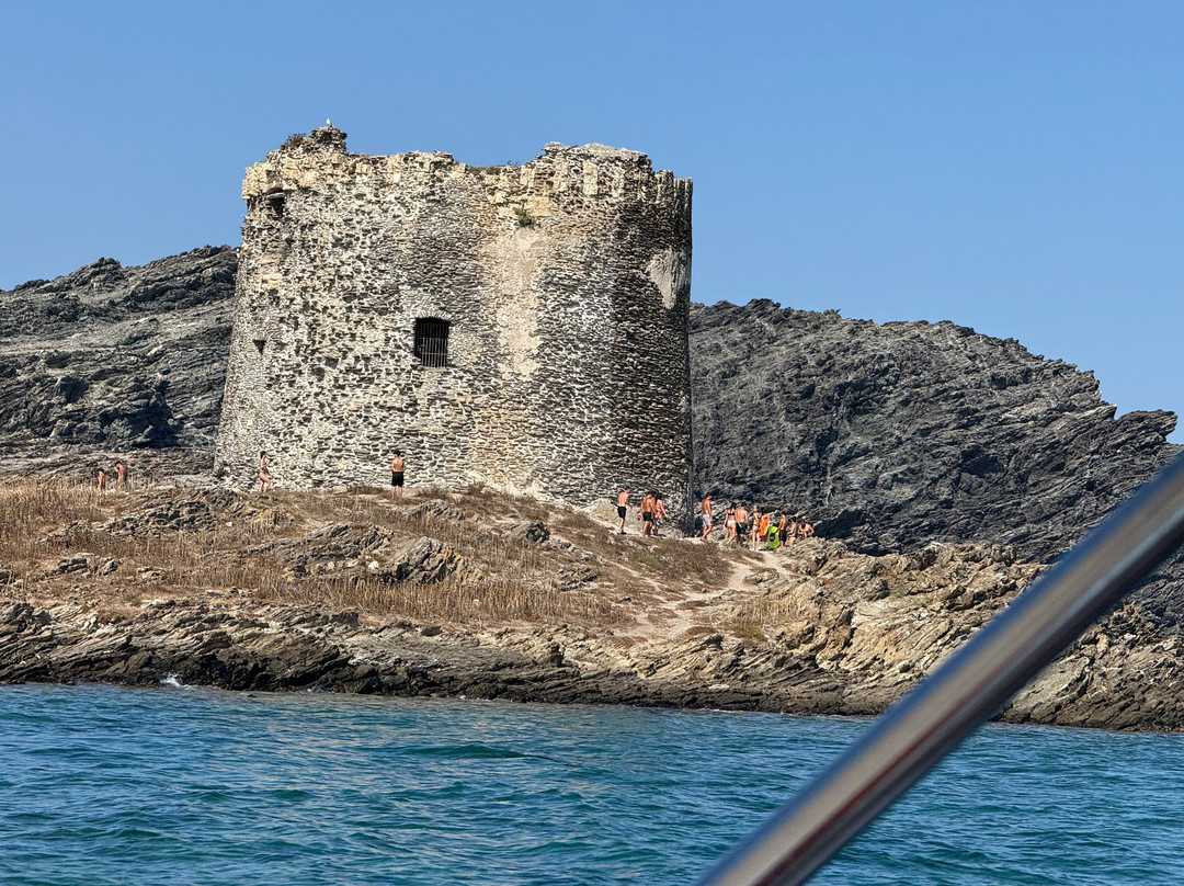 Amato Escursioni Nautiche di Daniele Amato-Asinara必去景点